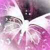 Butterfly//