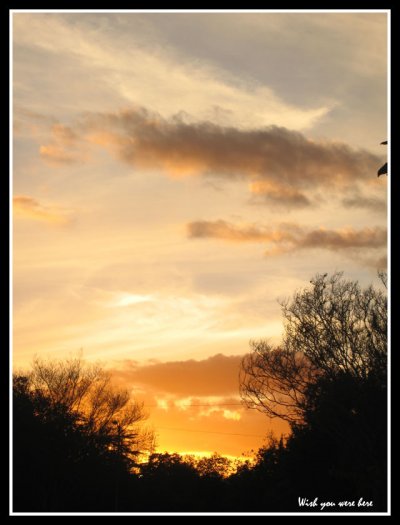 Click to view original image