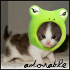 Kitten in a frog hat
