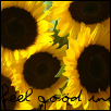 Sun flowers - Feel good Inc.