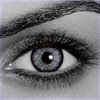 Click to view original image