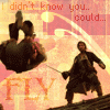 Fly