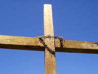 Crown of Thorns