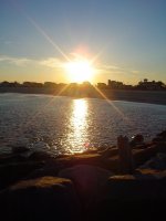 Shore