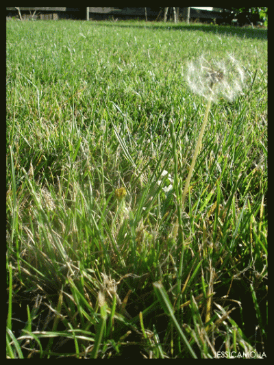 Click to view original image