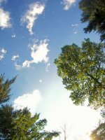 sky