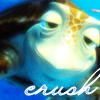 Crush