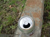 the can.
