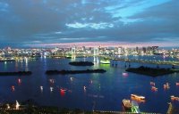 Oh the city lights