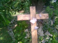 a cross to bear