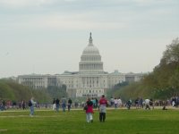 Washington D.C.