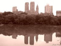 Reflected New York