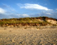 cape cod beach