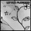 Little Flowers