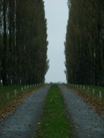 Life's little Journeys