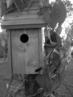 Bird house