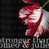 Click to view original image