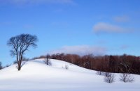 Snow