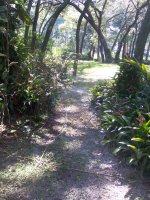 a clearing