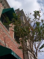 old building