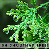Click to view original image