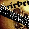 Click to view original image