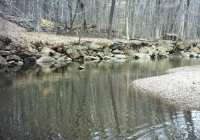 Unami Creek