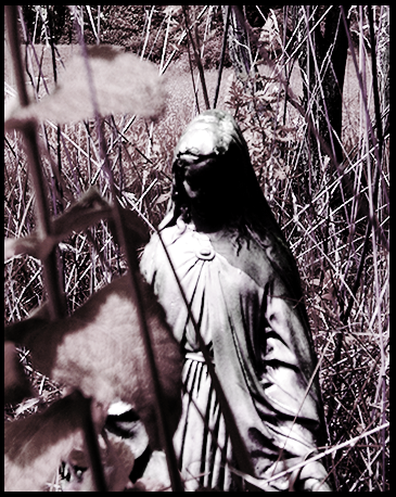 Click to view original image