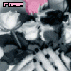 Rose avatar