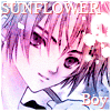 Sunflower Boy