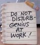 don't disturb! genius at work