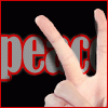 Click to view original image