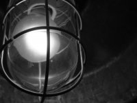 Light Bulb