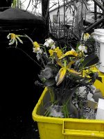 Love is garbage