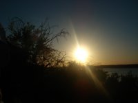 Dawn