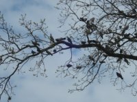 Fly Away