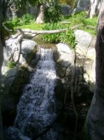 waterfall paradise