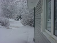 Snow Day